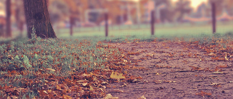 CC在线压力测试